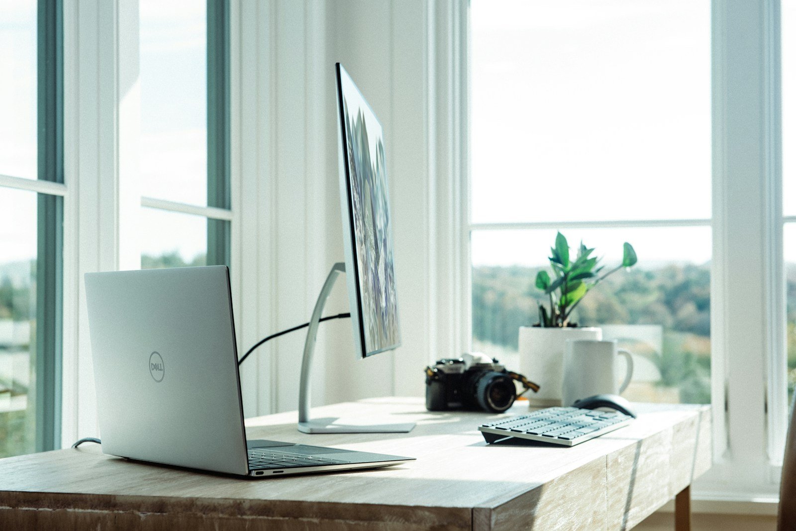 What Are the Legal Clauses to Watch for in Irish Office Leases?