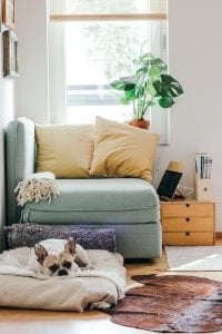 How Much Can I Charge If I Rent by Room? Use a Rental Estimate Tool to Get It Right