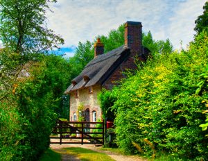 Do Gardens or Outdoor Space Raise Rental Value? 