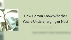 What Are Signs I’m Undercharging for My Rental?