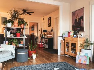 Shared Accommodation vs. Studio Rentals: What Tenants Really Want