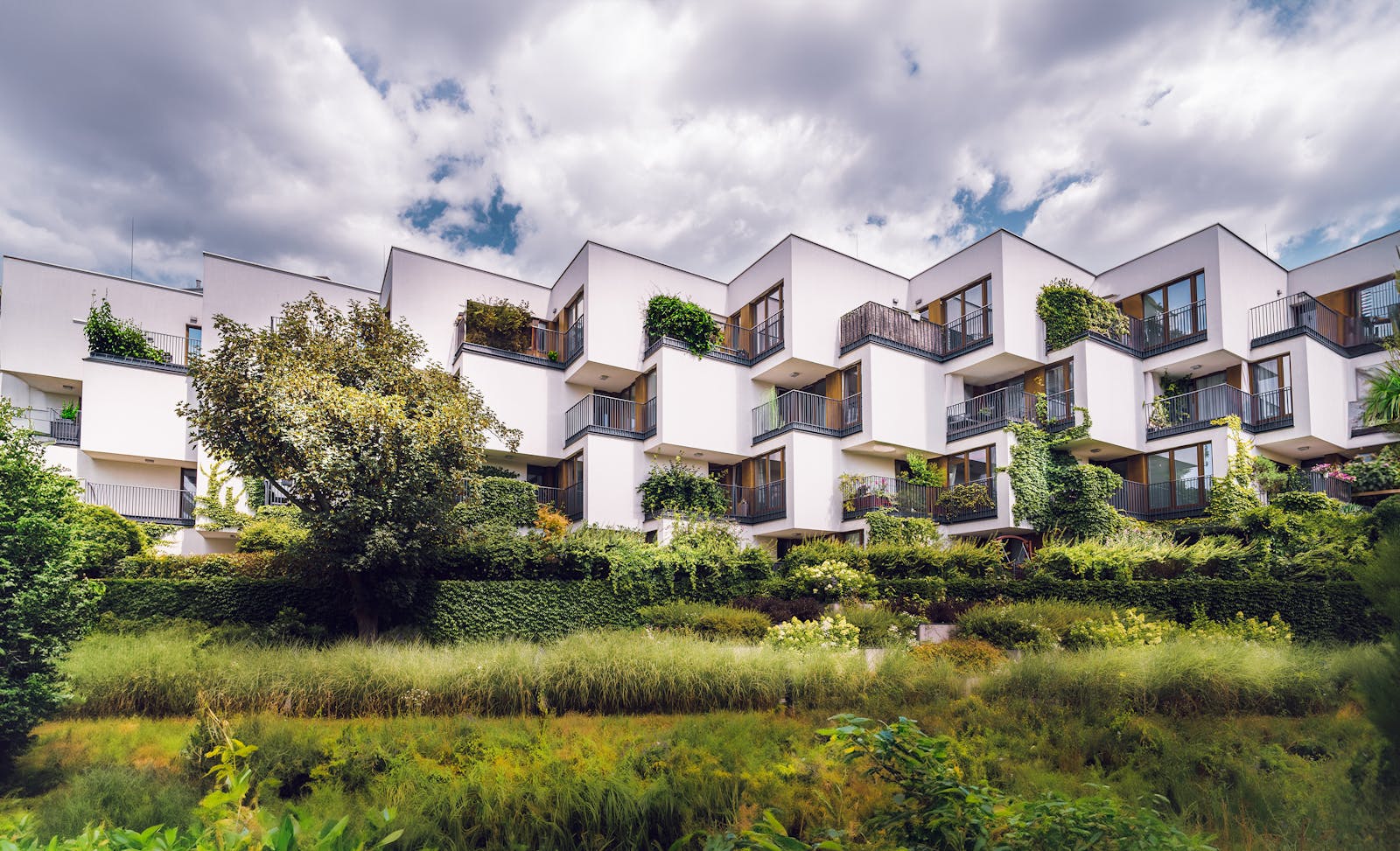 Where Are Ireland’s Rental Yields Highest in 2025?