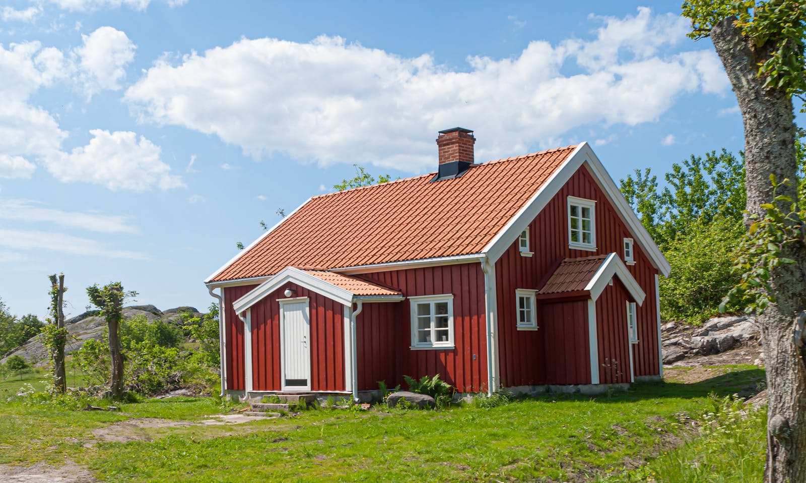 Maximise Your Reach with Free Unlimited Listings: A Seller’s Guide