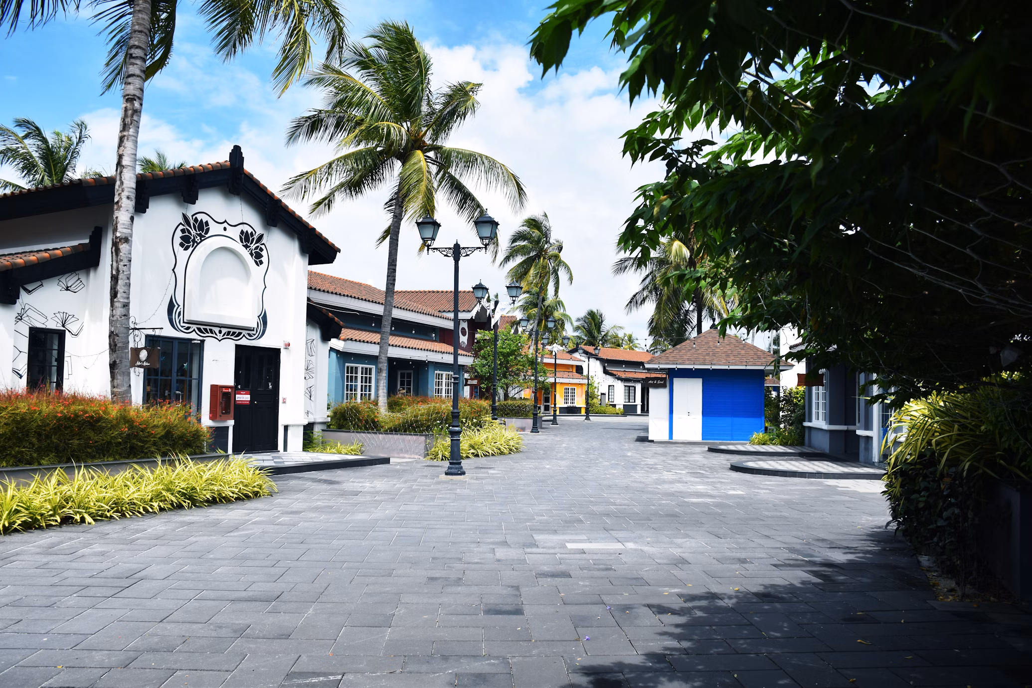 Carlow Rental Boom | Top Areas to Watch 2025