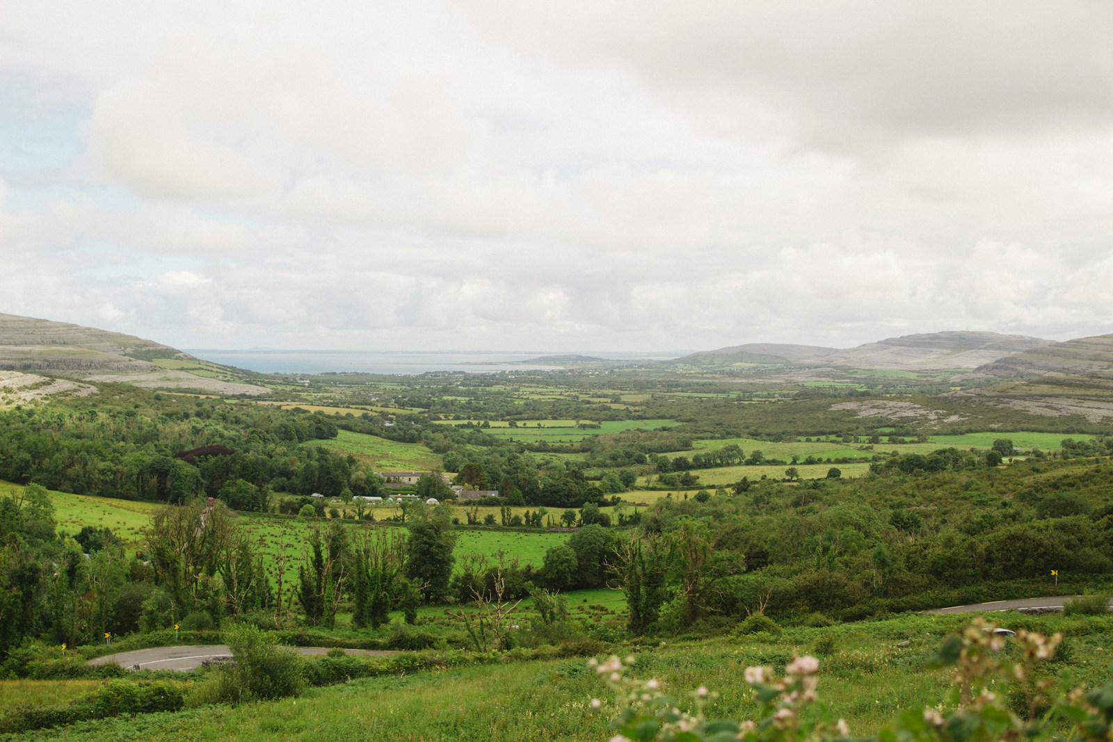 Rural Properties in Tipperary – List for Quick Buy