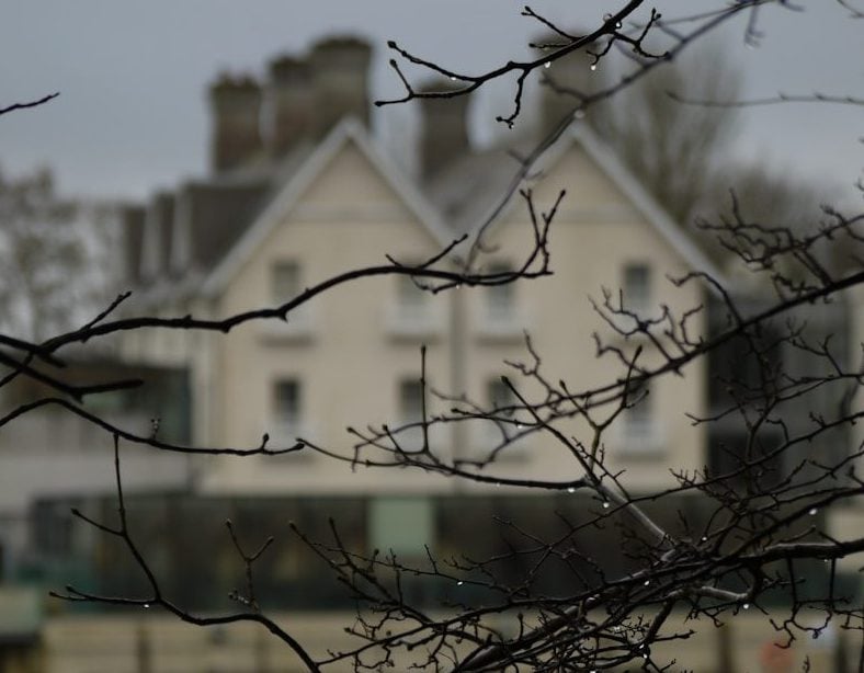 Mayo Property Market: Prices and Job Growth