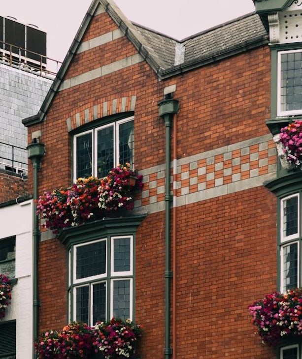 Ireland’s Housing Crisis: Stuck in the Waiting Game