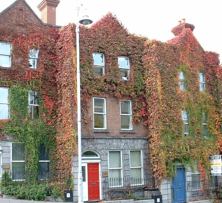 Is Dublin’s Property Market Over-Reliant and Risky?