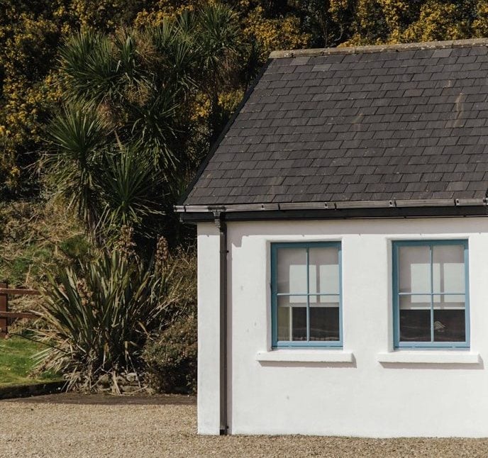 Waiting for Irish House Prices to Drop: The Truth