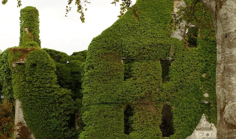 Irish Landlords: How to Avoid Tenant Problems