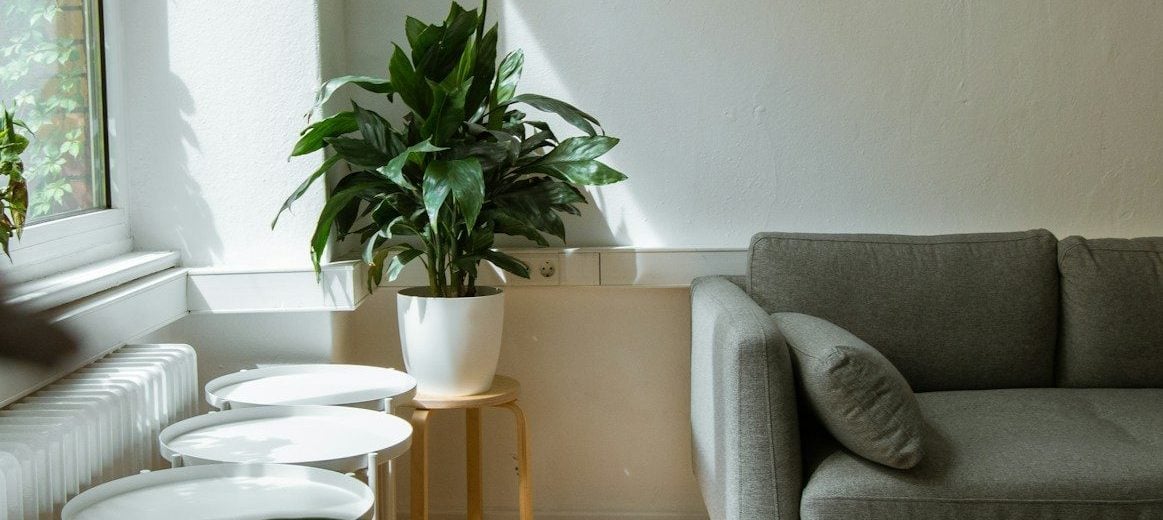 How to Make Your Irish Rental Stand Out to Tenants