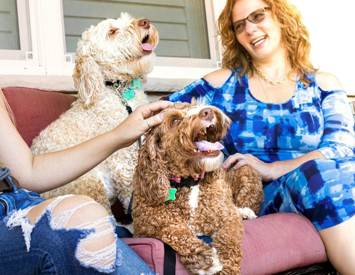 How Pets Change Your Rental Options in Ireland