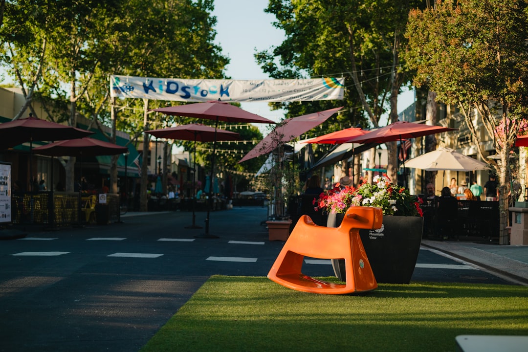 Why Proximity to Parks Can Increase Property Appeal